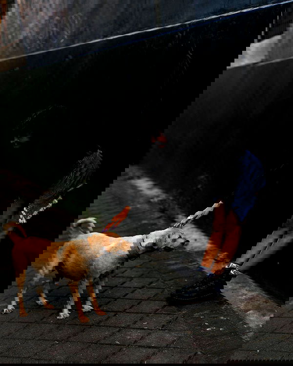 kkulakovaa image ~ Altpins