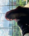 emmamarshalluk Altpins Profile Picture
