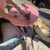 emmaaurora Altpins Profile Picture