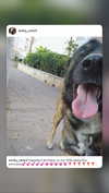 emily_new2 Altpins Profile Picture