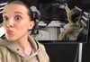 milliebobbybrown Altpins Profile Picture