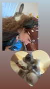 luvstuff3r Altpins Profile Picture