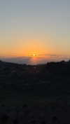 roni_ackerman Altpins Profile Picture