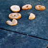 bugz4brainz Altpins Profile Picture