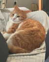 itsnokiiia Altpins Profile Picture