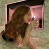 madelame Altpins Profile Picture