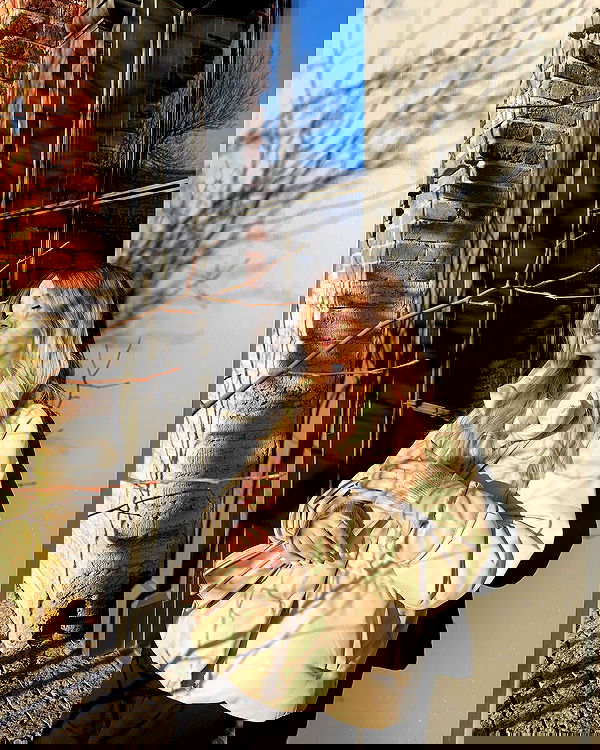 pinx_ir pinx_ir archive image