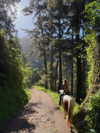 carolinezalog Altpins Profile Picture