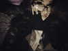 reanidays Altpins Profile Picture