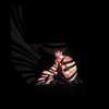 alexconsani Altpins Profile Picture