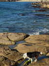 giangg._ Altpins Profile Picture