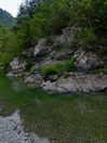 aleiisha.piixiie Altpins Profile Picture