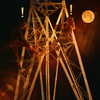 shai_landau_ Altpins Profile Picture