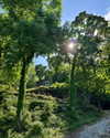 rouxroux.tv Altpins Profile Picture