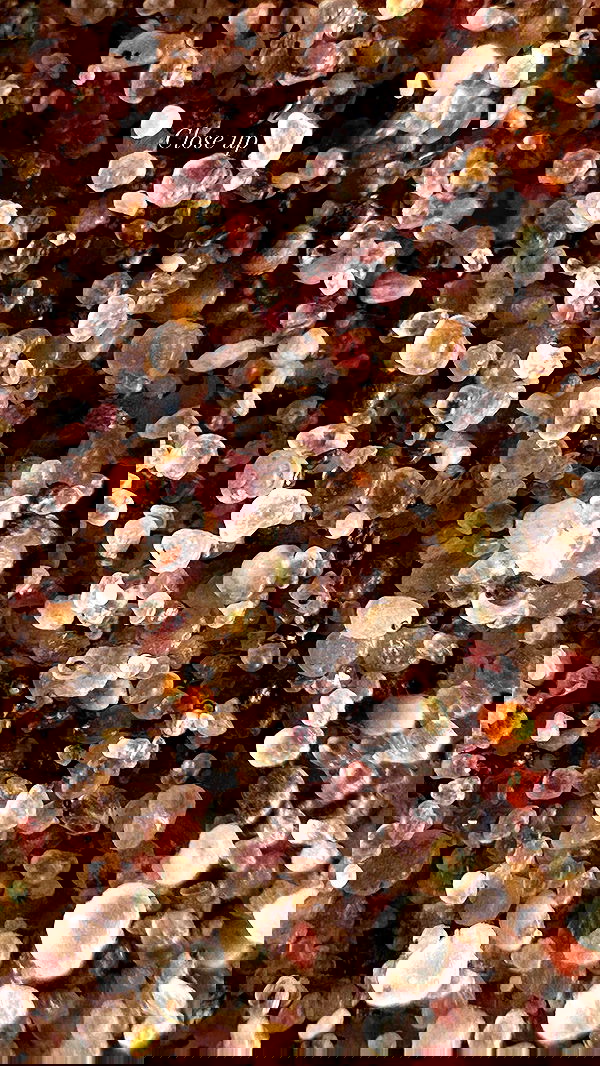 taylor.creeden taylor.creeden archive image