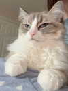 catl0verr69 Altpins Profile Picture