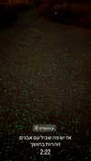 nicole.shpo Altpins Profile Picture