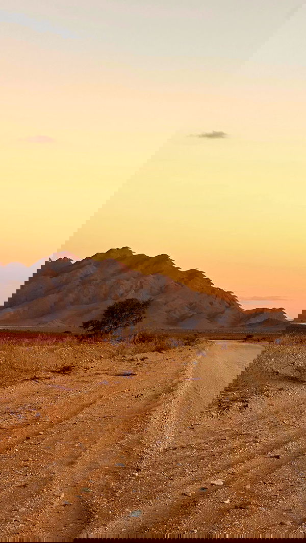 taylor.creeden taylor.creeden archive image