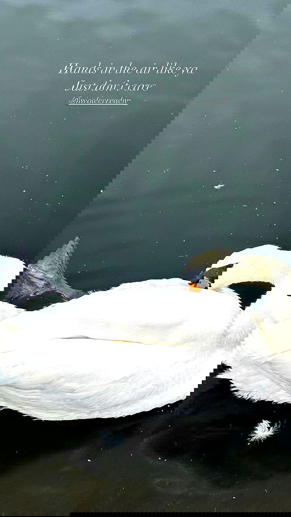 taylor.creeden taylor.creeden archive image