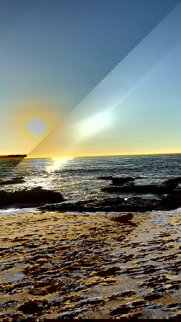 zommmbri zommmbri archive image