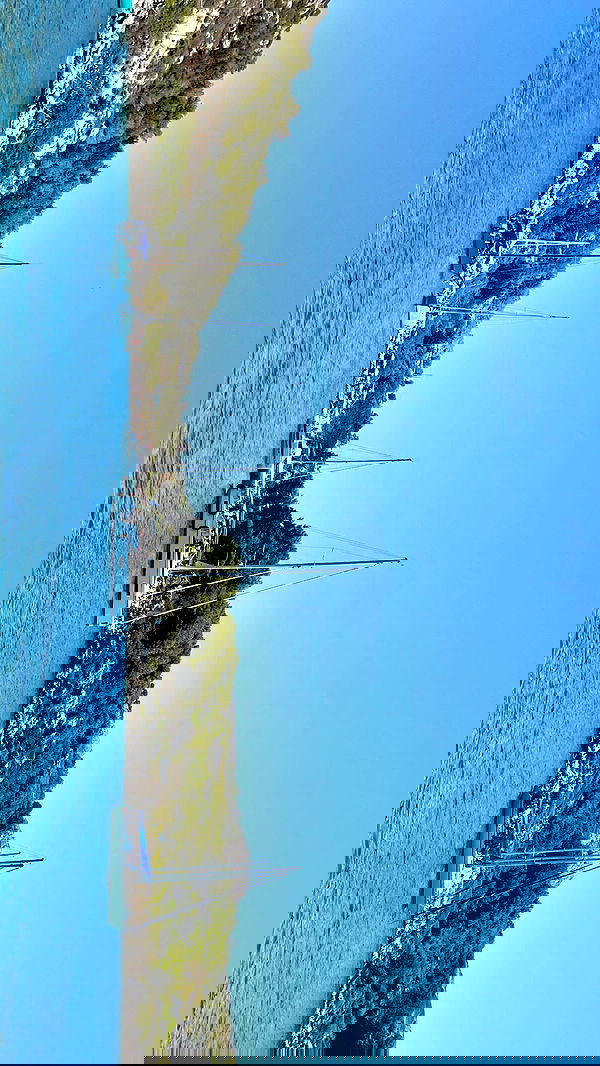 yeela__ yeela__ archive image