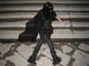 lerasww Altpins Profile Picture