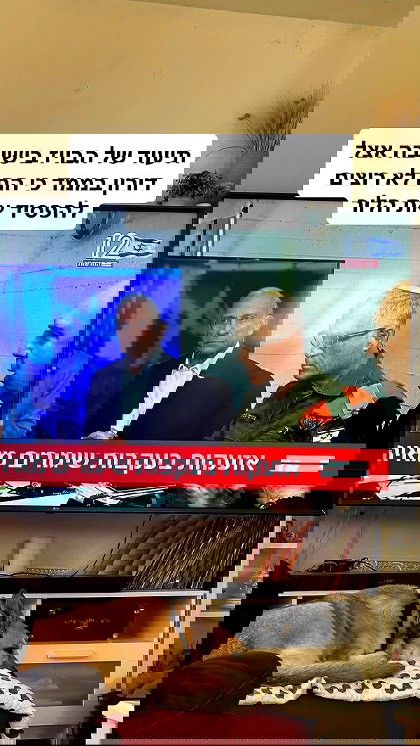 moonliliaght moonliliaght archive image