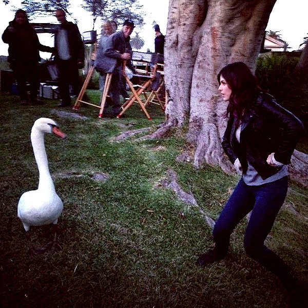 alexandradaddario instagram image archive image