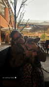 rott3nbambi Altpins Profile Picture