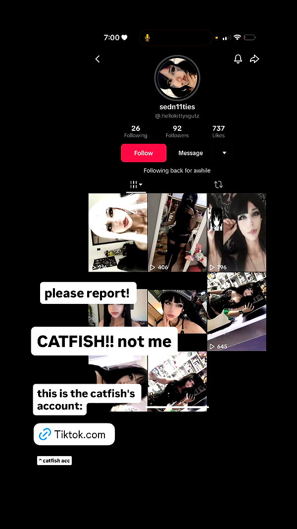 satell11tes instagram image archive image