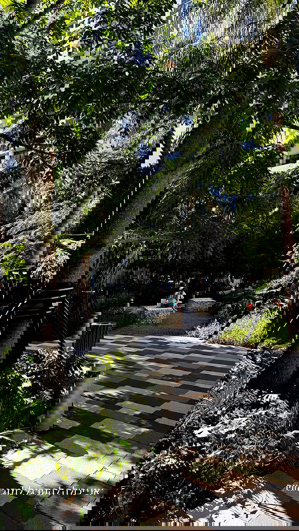 biton__adi biton__adi archive image