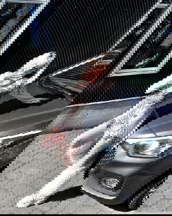 naia_gg naia_gg archive image