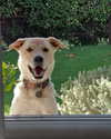gabbyepstein Altpins Profile Picture
