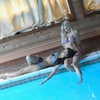 rchhhll Altpins Profile Picture