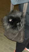 ptpchik Altpins Profile Picture