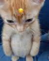 catl0verr69 Altpins Profile Picture