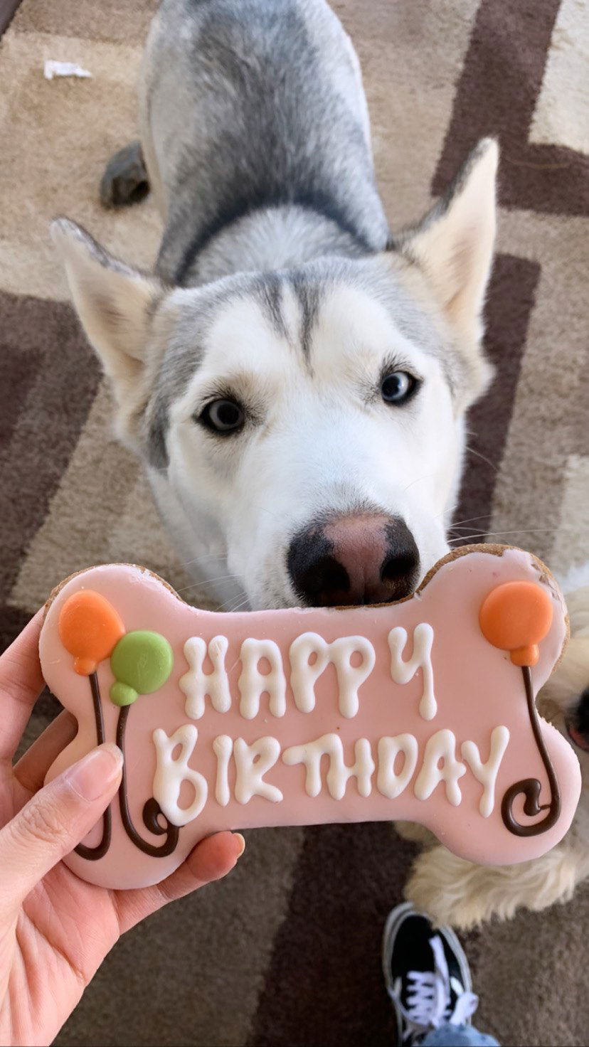 dracuina instagram image archive image