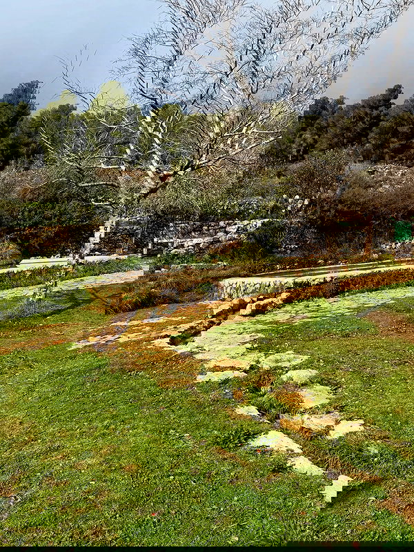 strawberryshanz strawberryshanz archive image