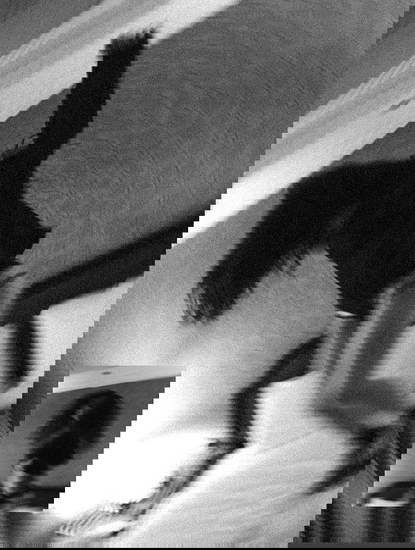 ting851204 ting851204 archive image