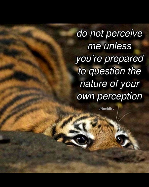 comeovwhenursober instagram image archive image