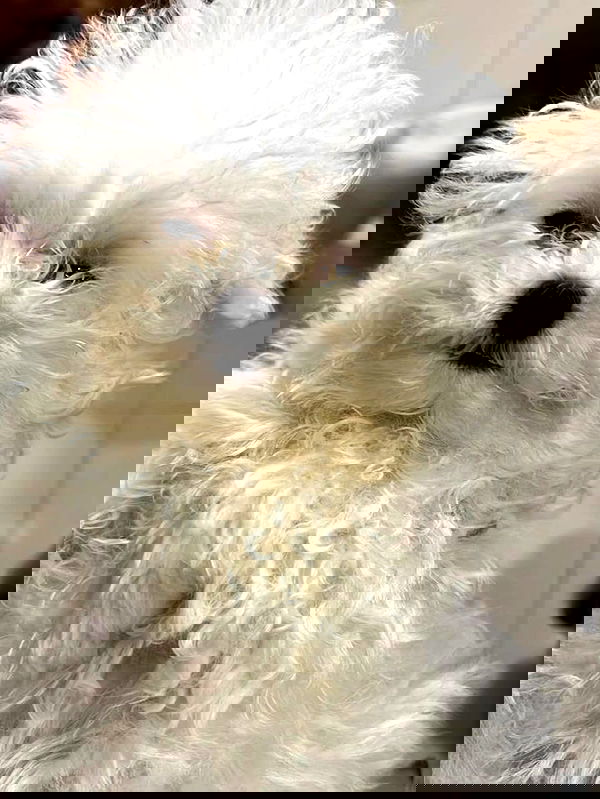 iamdorasnow iamdorasnow archive image