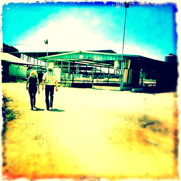 adihimelbloy instagram image archive image