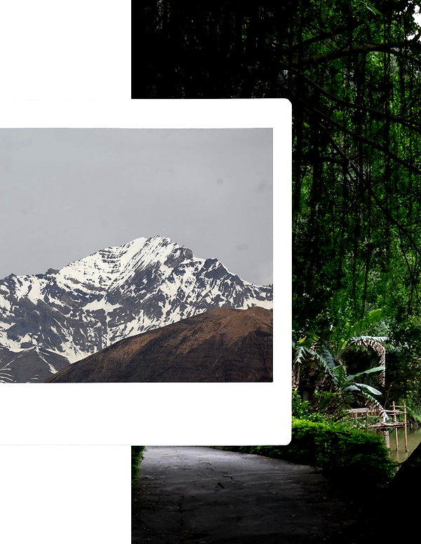 tamar_tsur instagram image archive image