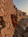 federica.piccinni Altpins Profile Picture