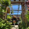 rouxroux.tv Altpins Profile Picture