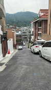 dante_yangpa Altpins Profile Picture