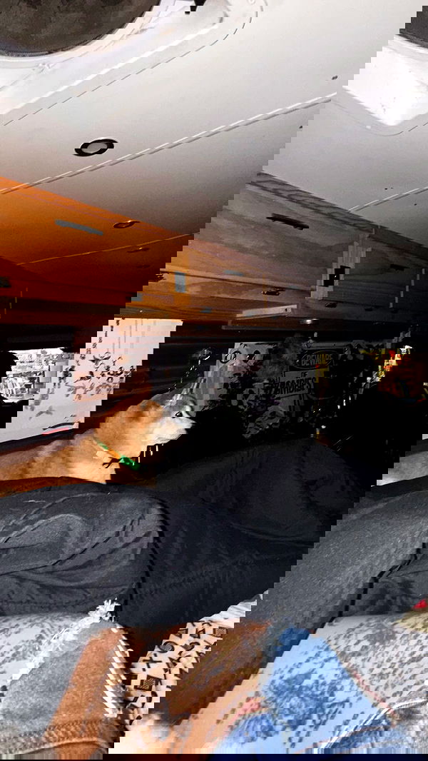 zommmbri zommmbri archive image