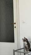 federica.piccinni Altpins Profile Picture