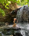 rouxroux.tv Altpins Profile Picture