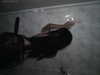 hellokittyangel666 Altpins Profile Picture